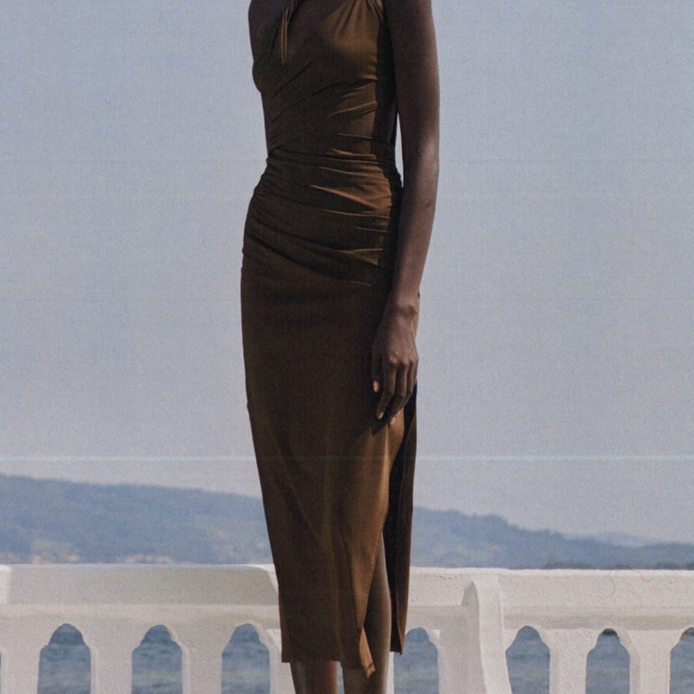 Zara Brown Dress